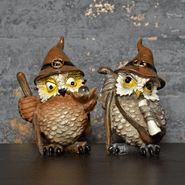 Mystical Magical Owls - Set Of 2