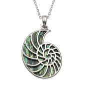 Natural Paua Shell -  Ammonite Fossil Necklace - Tide Jewellery