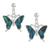 Natural Paua Shell - Butterfly Earrings
