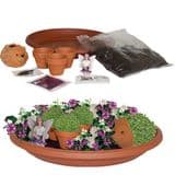 New Magical Fairy Garden 10-Piece Grow Set  - Garden Gift Set