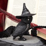 Owlocen - Witches Owl Figurine  - 13.5cm
