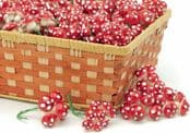 Pack of Red Fairy Crafting Toadstools- 3 Sizes