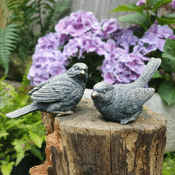 Pair of Bronze Effect Garden Birds - 10cm long