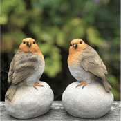 Pair of Garden Robins on stones