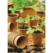 Peat Free Fibre Pots - Pack of 96 - 100% Biodegradable