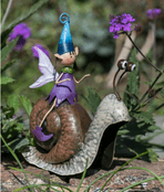 Petal the garden pixie and her magical snail