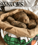 Potatoes  -  Maris Piper