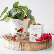 Robin Ceramic Plant Pot - 15cm