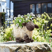 Silly Sheep -  Garden  Planter