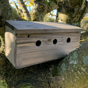 Sparrow Nest Box Terrace  - 46cm