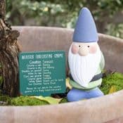 Terracotta 'weather forecasting' gnome - Choose from 3 colours - 15cm Tall