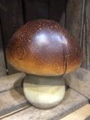 The Penny Bun - Woodland Mushroom