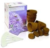 Tranquil Flowers - Grow Your Own Save the Bees Garden Kit