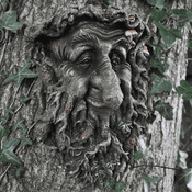 Trent The Green Man/Tree Man - Tree Plaque