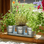 Windowsill Herb Garden - Galvanised Herb Pots