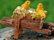 Woodland Knoll -Breaking Out - Spring Chicks in a Wheelbarrow