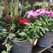Zinc Bucket Planters -Planters with plants