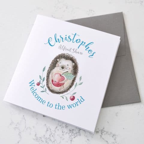 Personalised Birth Announcement Hedgehog Card