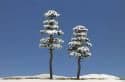 BUSCH 6155 Snow Covered Trees x 2