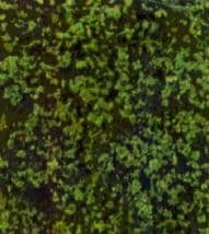 HEKI 1561 Foliage Flakes Medium Green 200 ML